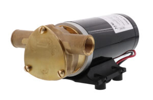 Jabsco 23610-3003 Maxi Puppy 3000 siipipyöräpumppu, BSP, 12V